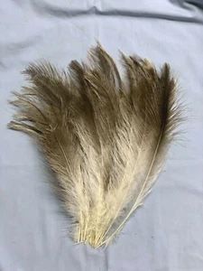 Rhea Plume (1 Plume per order) (RH-85) - Picture 1 of 7