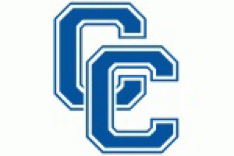 R Connecticut Blue Devils NCAA College Team Logo Póster Bandera 12x8 pulgadas Letrero de metal Foto 1 de 1