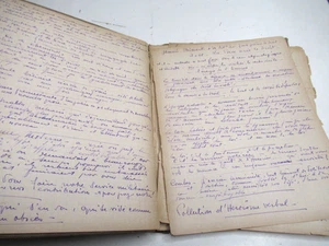 LOUIS LALLEMAND Manuscrit Autographe JUGEMENTS & PENSEES 1930 PEINTRE VLAMINCK - Bild 1 von 10