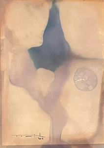 Tonito Original art Chemigram.KODAK Silver RC Paper.Alternative photography 49 - Picture 1 of 2