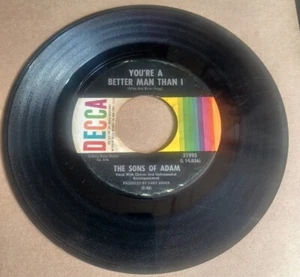 DJ COLLECTION 1966 DECCA THE SONS OF ADAM / BETTER MAN SATURDAY 31995 RARE 04934 - Bild 1 von 4