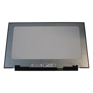 LQ173M1JW02 Laptop Led Lcd Screen 17.3" FHD 300Hz 40 Pin Narrow - Picture 1 of 1