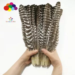 10/50/100pcs Natural Plume 25-45cm/10-16inch Knife Shape Turkey Wings Feathers - Picture 1 of 12