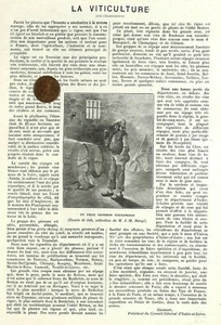 VINS DE TOURAINE / VITICULTURE / ADP PAR CH. VAVASSEUR & GERMAIN 1923 - Foto 1 di 3