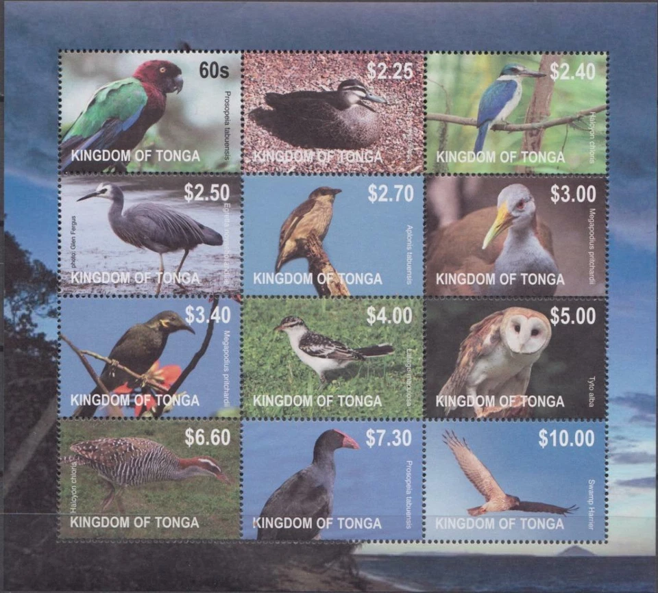 BIRD0066 - BIRDS TONGA 2012 TONGA BIRDS SHEET MNH - Image 1 of 1