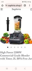 High Power 2200W Commercial Grade Blender with Timer