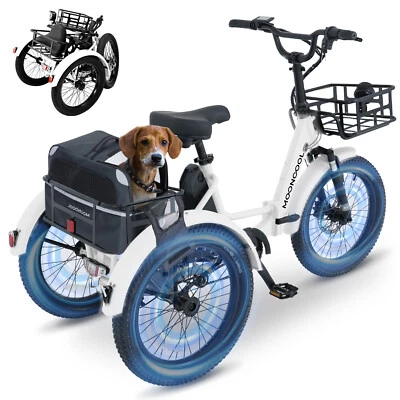 MOONCOOL 20" Foldable Fat Tire Electric Tricycle 750W w / Rear Bag & 48V Battery - Image 1 of 4
