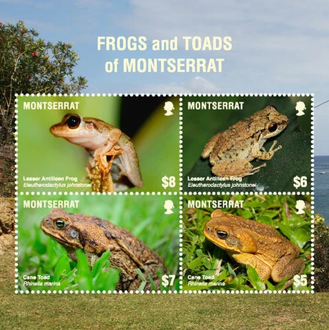 Montserrat 2018 - Frogs and Toads of Montserrat - Sheet of 4v - Scott 1404 - MNH Cover