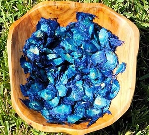 Angel Wings, Blue, Bulk Botanicals, Oroxylum indicum Bignoniaceae, For Potpourri - Picture 1 of 5