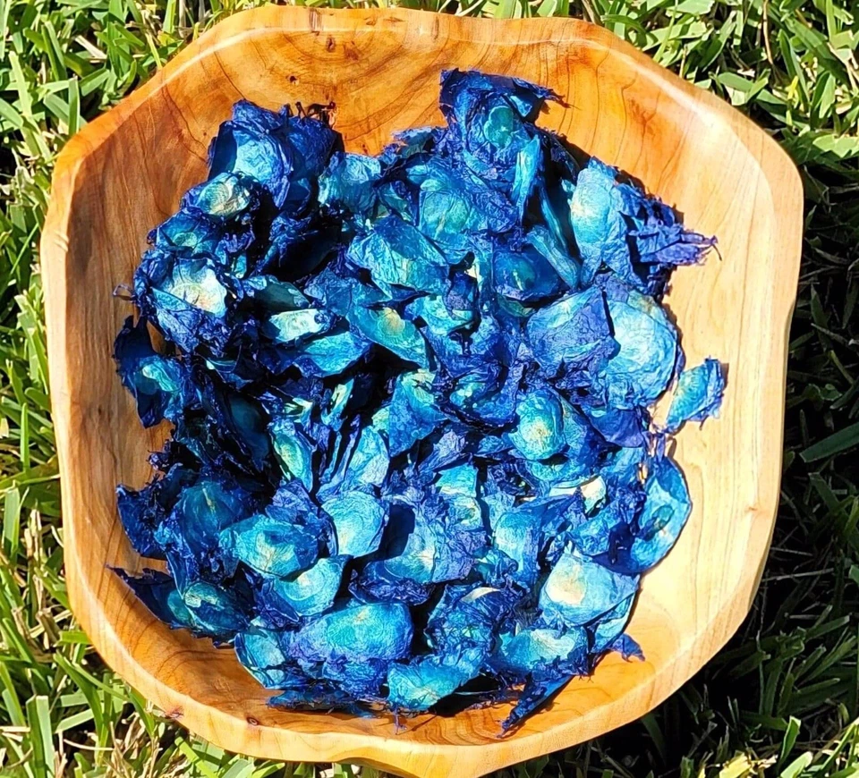 Angel Wings, Blue, Bulk Botanicals, Oroxylum indicum Bignoniaceae, For Potpourri - Image 1 of 4