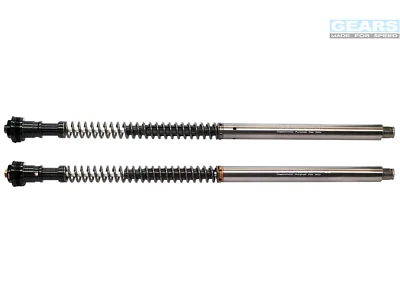 SUZUKI SV650 / SFV650 ENGRANAJES HORQUILLAS DELANTERAS AJUSTE.CARTUCHO FFC-250-T Foto 1 de 4