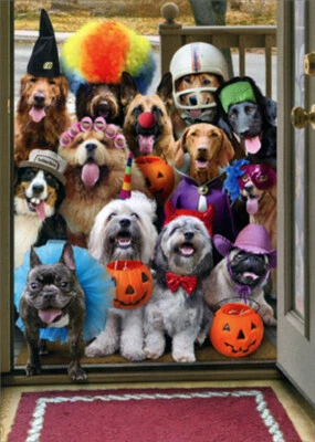 AVANTI PRESS Avanti Trick or Treat Dogs Funny / Humorous Halloween Card