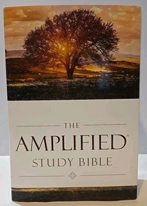 Amplified Holy Bible Large Print 2015 Zondervan Christian Study Edition Hardcove - Picture 1 of 7