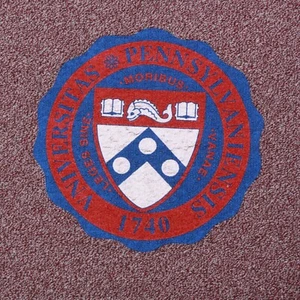 WOOLLY THREADS Pennsylvaniensis Universitas Textured Men's Sweatshirt sz S /669 - Picture 1 of 4