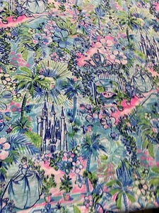 Lilly Cinderella Cotton Fabric Disney 18x30 - Picture 1 of 5