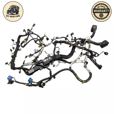 Cabo e conector de chicote de fios de motor interno Jaguar Xj 13 - 15 OEM - Imagem 1 de 4