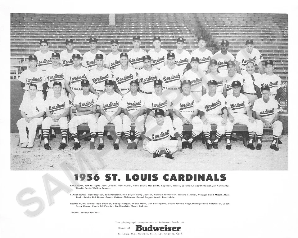 Foto del equipo de béisbol 1956 St. Louis Cardinals 8x10 Foto 1 de 1