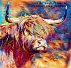 HIGHLAND COW MULTI COLOUR Wall Art 20x20 Inch Canvas Framed READY TO HANG UK ART