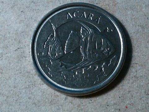 Brazil 1000 cruzeiros reais reales 1993 Fish Coin km626 Cover