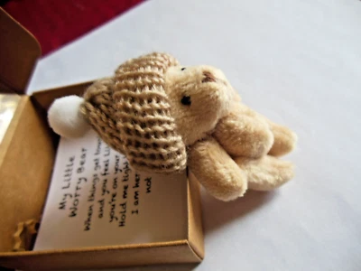 Teddy  Bear /  Pocket Size With Beanie Hat * { LIGHT  BROWN  } ** Free  Shipping - Image 1 of 4
