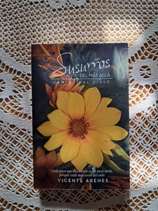 Susurros del más allà Camino del cielo Vicente Arenes - Imagen 1 de 6