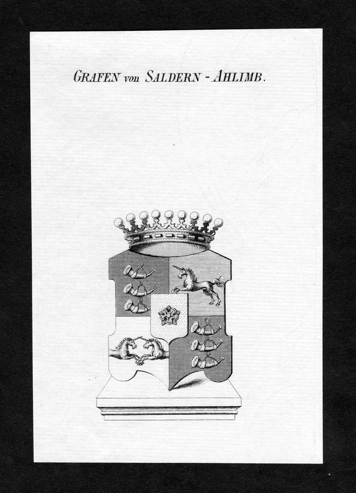 ca. 1820 Saldern-Ahlimb Wappen Adel coat of arms Kupferstich antique print - Bild 1 von 1