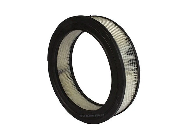 Filtro de aire Motorcraft 84PGGH38 para Dodge Dakota 1987 1988 Foto 1 de 1