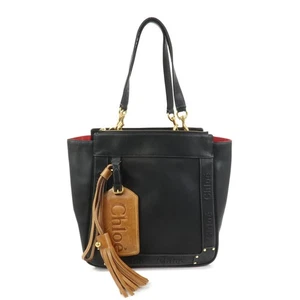 Chloe Eden Leder Beuteltasche Tasche Schultertasche Handtasche schwarz echt gebraucht kostenloser Versand - Bild 1 von 24