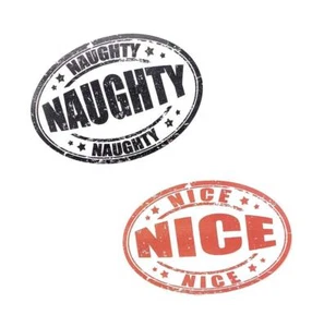 NAUGHTY NICE 2 Sets 4" x  2 1/2" Novelty Removal Fabric Vinyl Decals for Walls - Foto 1 di 3