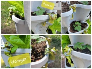 Garden Planter POT hanging FroG FRIENDS Decoration - Picture 1 of 6