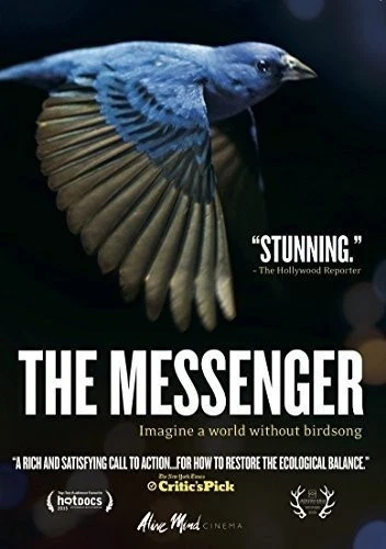 Messenger (DVD) Su Rynard - Imagen 1 de 1