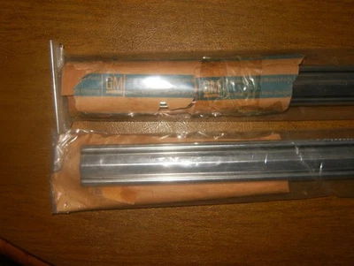 Chevrolet NOS Original GM 1965 Chevy II Nova 2 Door Driver's Door mld - Изображение 1 из 4