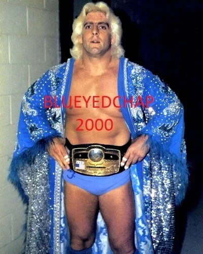 RIC FLAIR WRESTLER 8 X 10 WRESTLING PHOTO NWA WCW WWF - Image 1 of 1