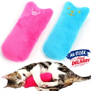 2x Chew Teeth Grinding Toys Crazy Pillow Catnip interactive Gift Cat Scratch Pet - Picture 1 of 8
