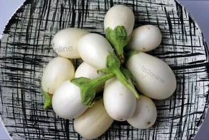 1000 White Indian Eggplant Seeds Brinjal Heirloom Vegetable Aubergin Egg Plant - Picture 1 of 6
