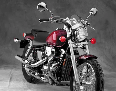 Mosquitero National Cycle - Montaje de horquilla - Tinte claro Motocicleta Bicicleta de calle N2536 Foto 1 de 4