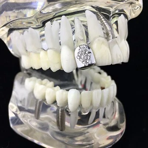 Diamante Design One Tooth Grillz Cap Single Silver Tone Simulated CZ Iced Slug - Picture 1 of 8