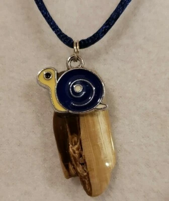 Caracol azul y amarillo con colgante de madera petrificada pulida collar de cordón satinado Foto 1 de 4
