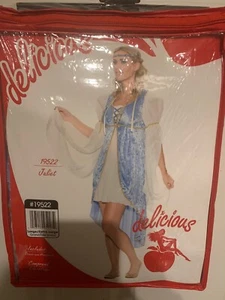 NWOT Sexy Juliet Costume Size L/XL Dress & Headpiece Blue White Gold - Picture 1 of 4