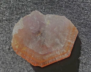 AURALITA AMATISTA PUNTA ROJA CRISTAL FANTASMA RARO ESPÉCIMEN 90 QUILATES-18 GRAMOS CANADÁ - Imagen 1 de 16