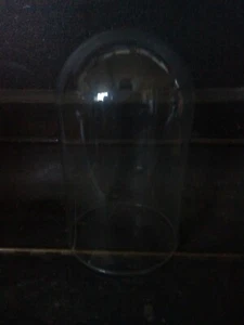 Glass dome - Picture 1 of 1