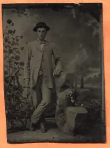 TT Portrait eines jungen Mannes, Topfpflanze & Hintergrund um 1880 antike Farbart - Bild 1 von 2