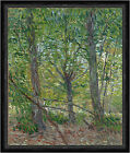 Trees Vincent van Gogh Bume Stamm ste Pflanzen Wald Weg Blumen Faks_B 03404