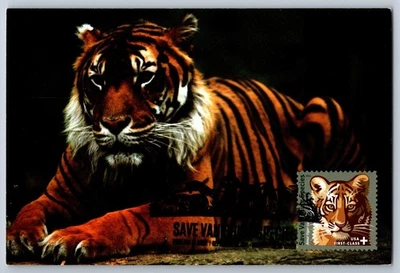 #B4 Save Vanishing Species Tiger FDC Maxi Card w/Pictorial Cancel - Image 1 of 2
