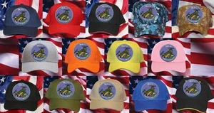 147TH HILLCLIMBERS HAT PATCH CAP US ARMY VETERAN GIFT HELICOPTER USA VIETNAM WOW - Picture 1 of 26