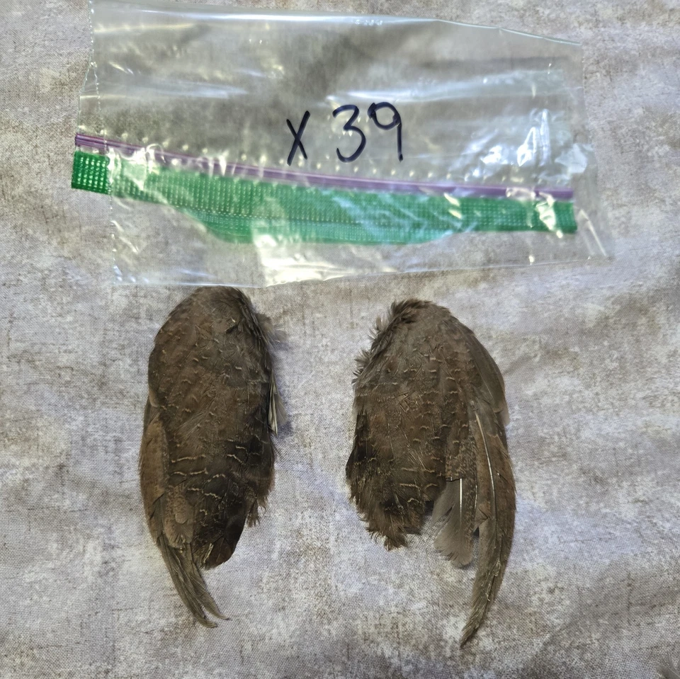 1 комплект перепелиных крыльев - x39 - Изображение 1 из 1