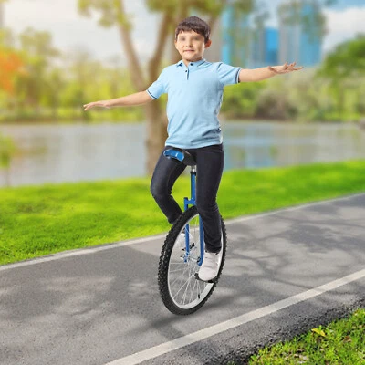 Roda esportes ao ar livre monociclo 24" assento ajustável bicicleta exercício bicicleta fitness - Imagem 1 de 4