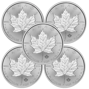 Lot of 5 - 2025 1 oz 9995 Fine Platinum Canadian Maple Leaf $50 Coin - Picture 1 of 4