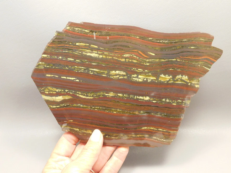 Tiger Iron Rough Rock Lapidary Stone Slab Cabbing #O3 - Image 1 of 4