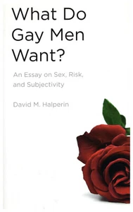What Do Gay Men Want: An Essay on Sex Risk & Subjectivity by David M. Halperin - Imagen 1 de 2